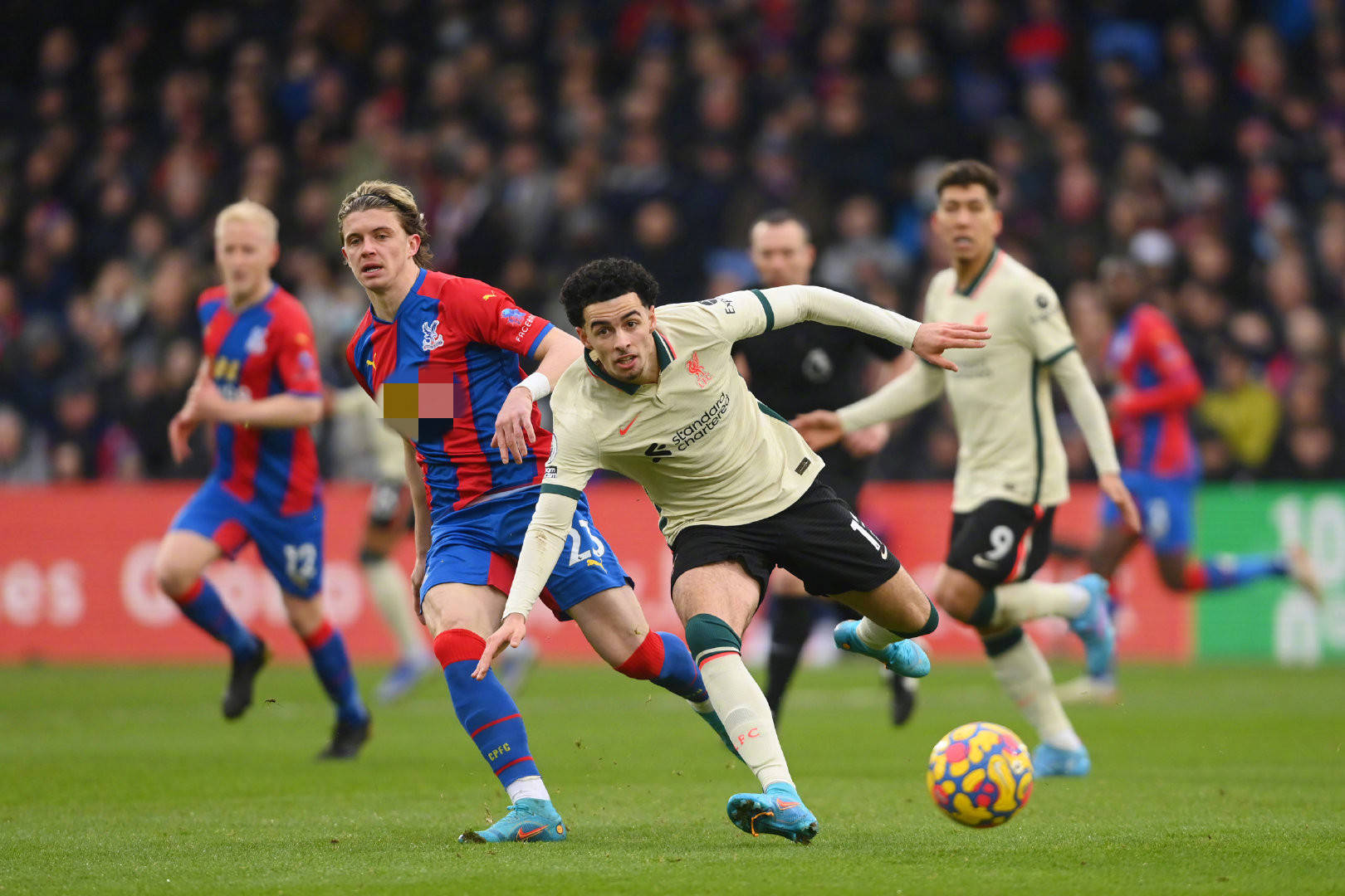 任何身為職 任何身為職