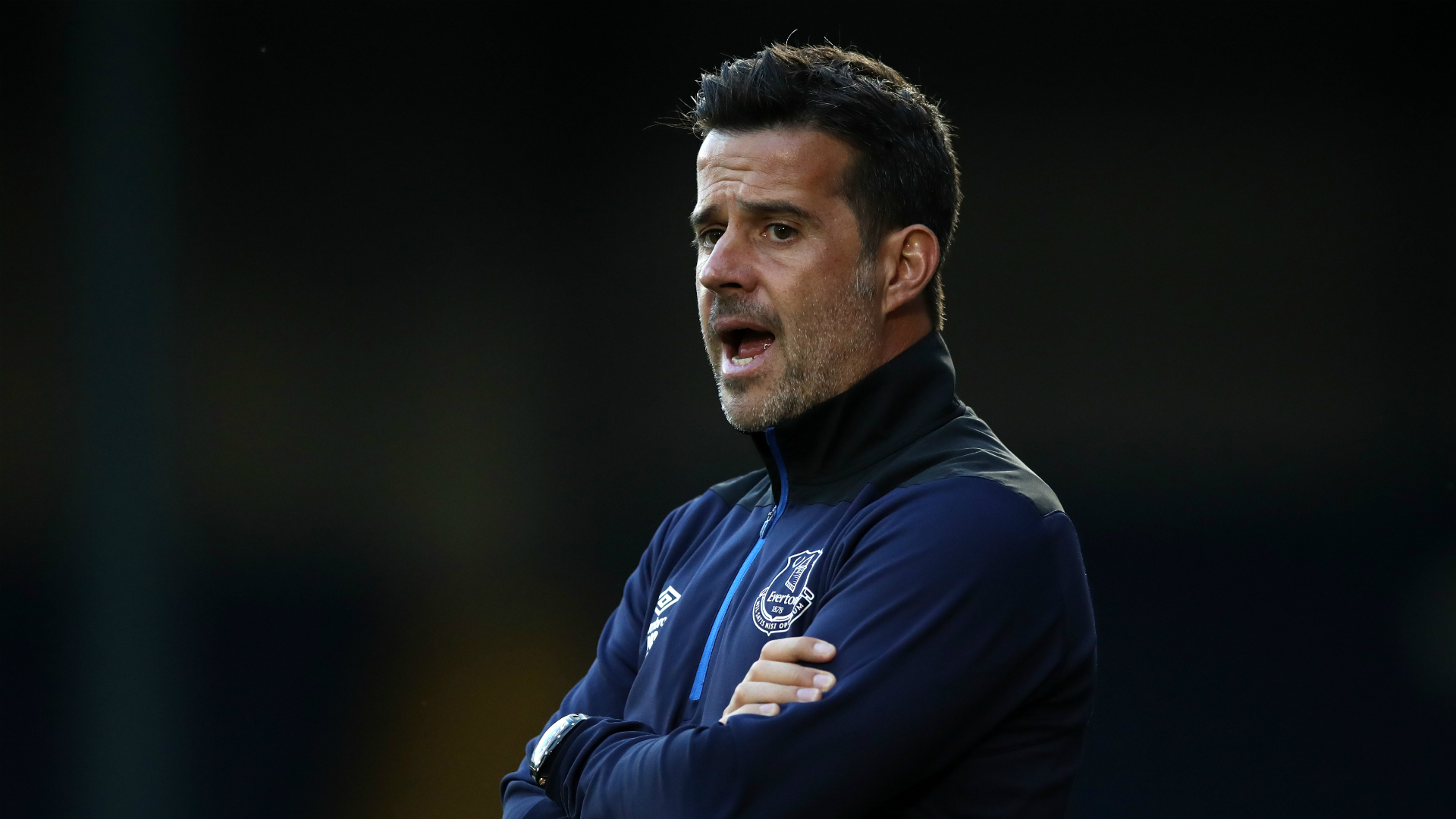 体系往往是 体系往往是